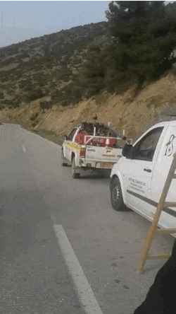 蠢羊四肢过与发达,傻蹦把自己挂到电线上了...