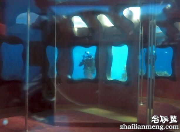 男子潜入海底发现奇怪建筑,凑近一看让他兴奋不已!