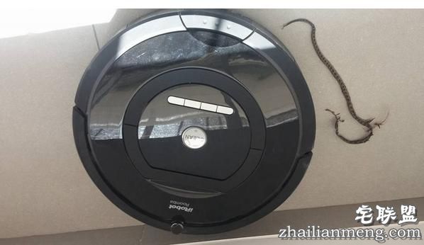 男子准备清洗自己的扫地机器人,没想到拆开一看差点被吓出心脏病