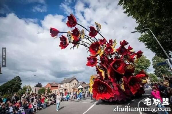 你一定没见过这么霸气的花,震惊全世界!