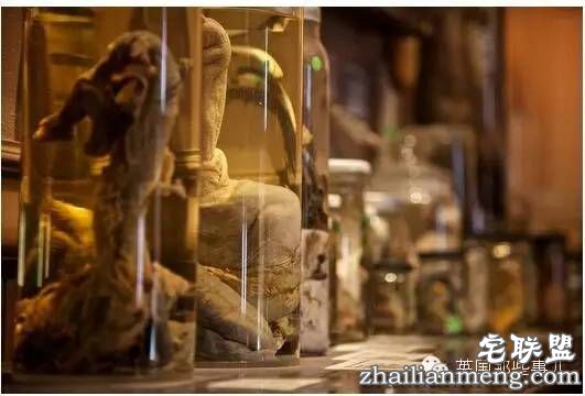 全世界第一个丁丁博物馆,全都是实打实的真货…