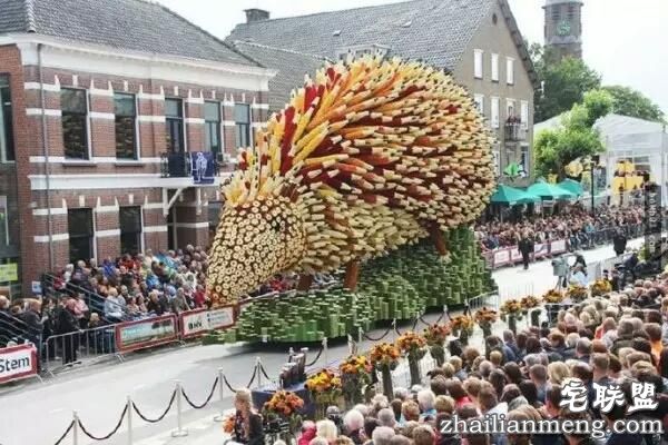 你一定没见过这么霸气的花,震惊全世界!