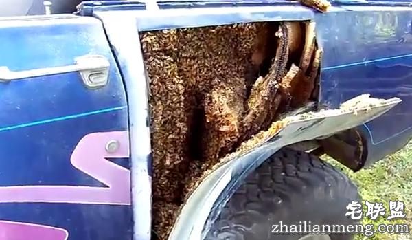 他撬开很久没开的车,结果眼前的一幕令人头皮发麻!