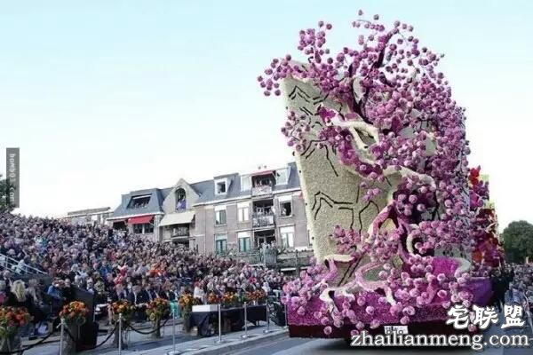 你一定没见过这么霸气的花,震惊全世界!