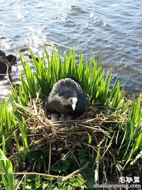 男子每天花30分钟清理河畔垃圾,结局真是让我们想不到啊!