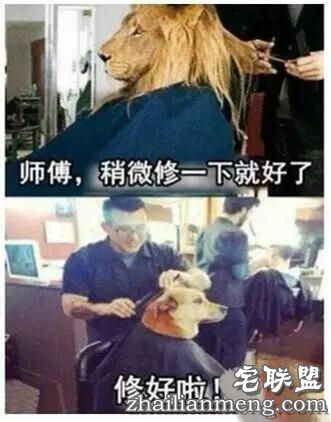 朋友圈段子精选，看了简直笑的停不下来