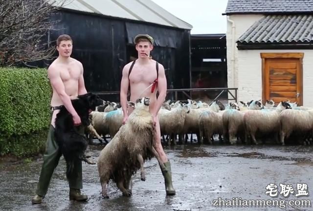 英国大学生拍裸照为动物保护协会募捐