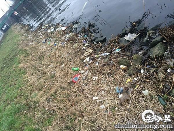 男子每天花30分钟清理河畔垃圾,结局真是让我们想不到啊!