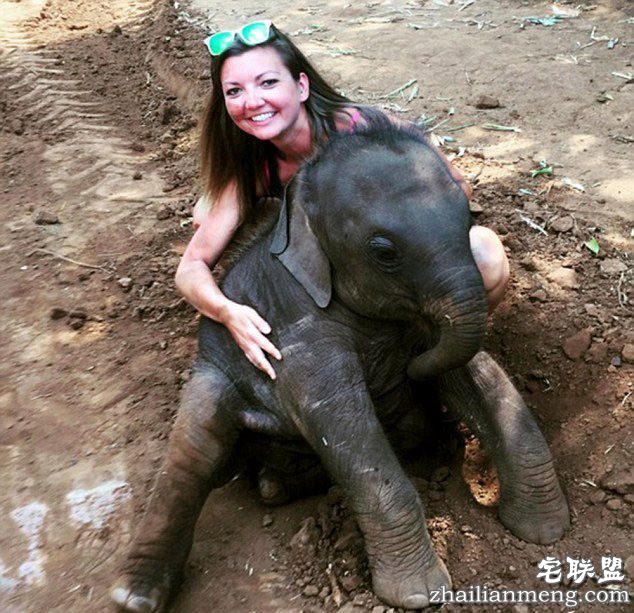 泰国小象爱与游客“零距离接触”