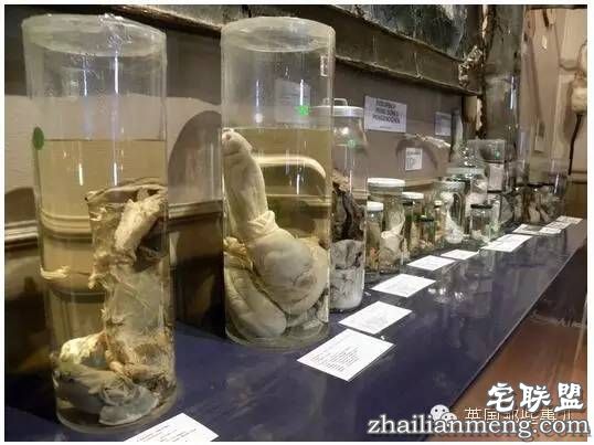 全世界第一个丁丁博物馆,全都是实打实的真货…