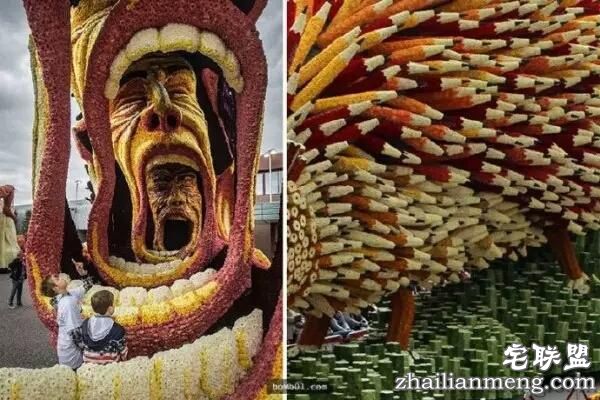 你一定没见过这么霸气的花,震惊全世界!