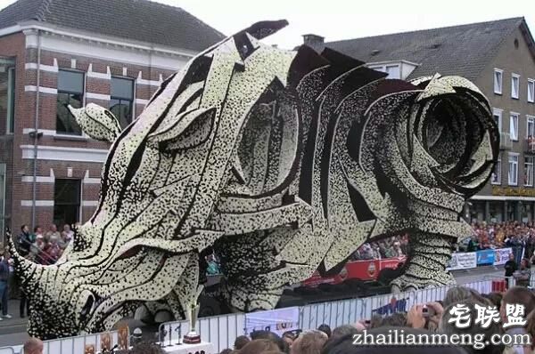 你一定没见过这么霸气的花,震惊全世界!