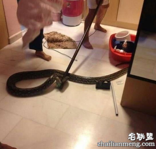 男子晚上下班回家洗澡,没想到下一秒竟然在厕所被差点吓个半死