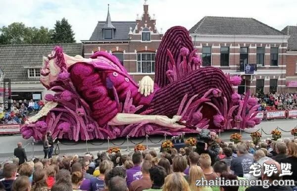 你一定没见过这么霸气的花,震惊全世界!