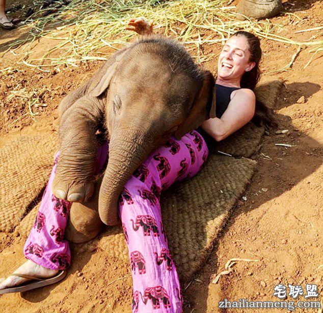 泰国小象爱与游客“零距离接触”