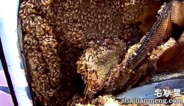 他撬开很久没开的车,结果眼前的一幕令人头皮发麻!