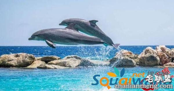 关于性的一些冷知识！精液可以治疗抑郁？