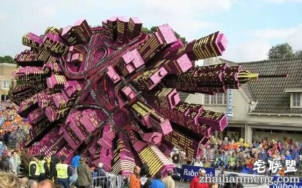 你一定没见过这么霸气的花,震惊全世界!