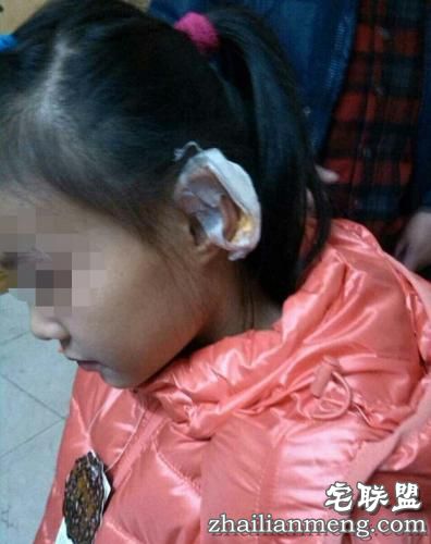 小学生情书走红网络 盘点那些让人又爱又恨的小学生