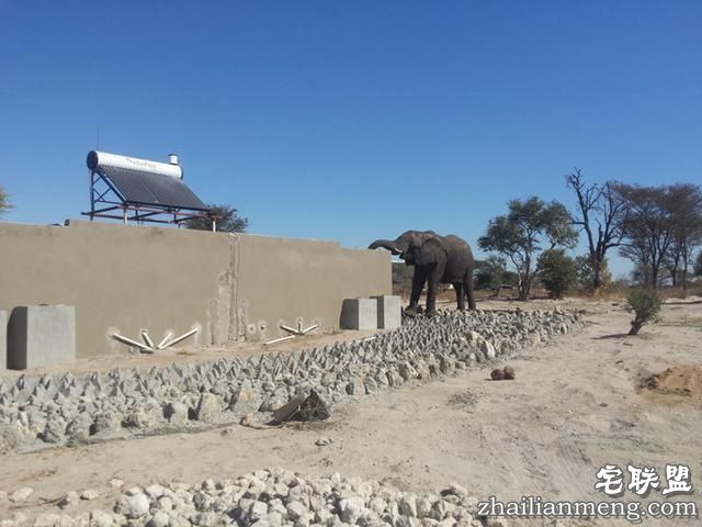大象都跑到人家来偷水喝了,这个地方到底有多缺水?