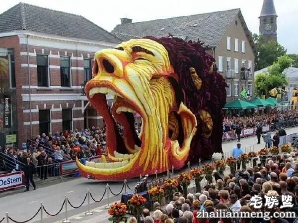 你一定没见过这么霸气的花,震惊全世界!