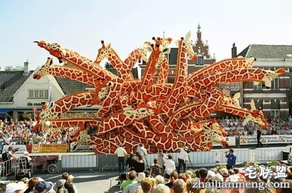 你一定没见过这么霸气的花,震惊全世界!