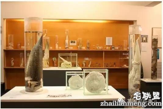 全世界第一个丁丁博物馆,全都是实打实的真货…