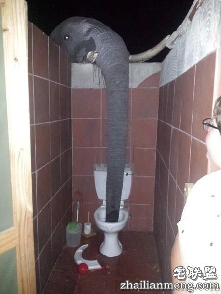 大象都跑到人家来偷水喝了,这个地方到底有多缺水?