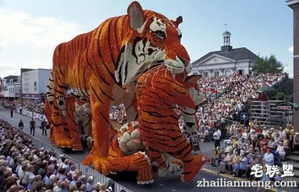 你一定没见过这么霸气的花,震惊全世界!