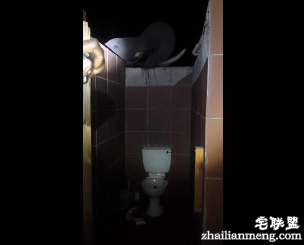 大象都跑到人家来偷水喝了,这个地方到底有多缺水?