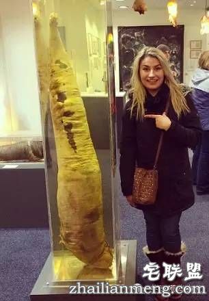 全世界第一个丁丁博物馆,全都是实打实的真货…