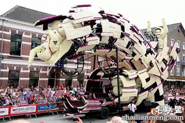 你一定没见过这么霸气的花,震惊全世界!