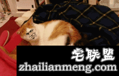 朋友圈段子精选，看了简直笑的停不下来