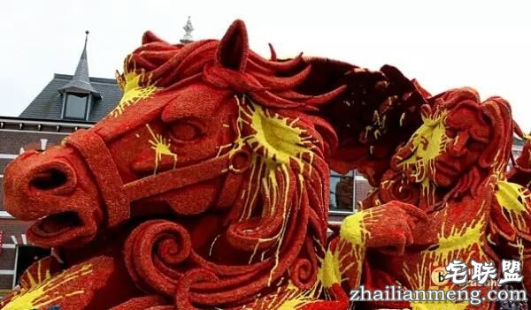 你一定没见过这么霸气的花,震惊全世界!