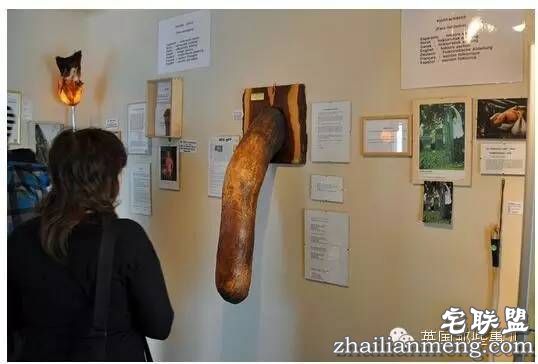 全世界第一个丁丁博物馆,全都是实打实的真货…