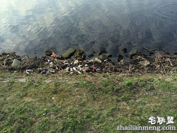 男子每天花30分钟清理河畔垃圾,结局真是让我们想不到啊!