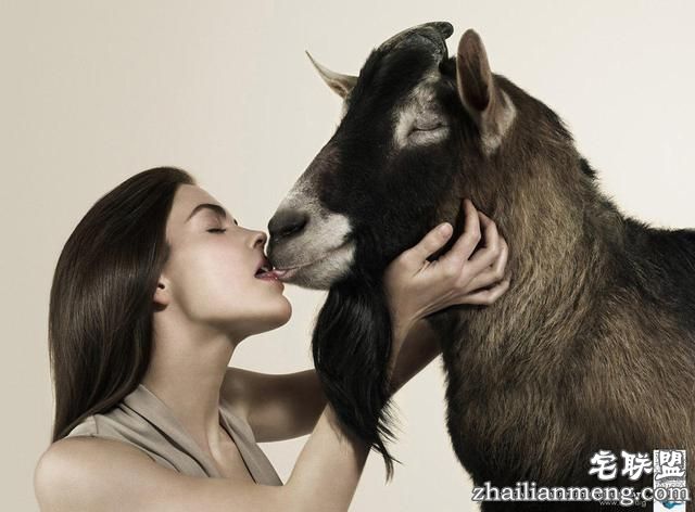 世界各国禁烟广告大联播