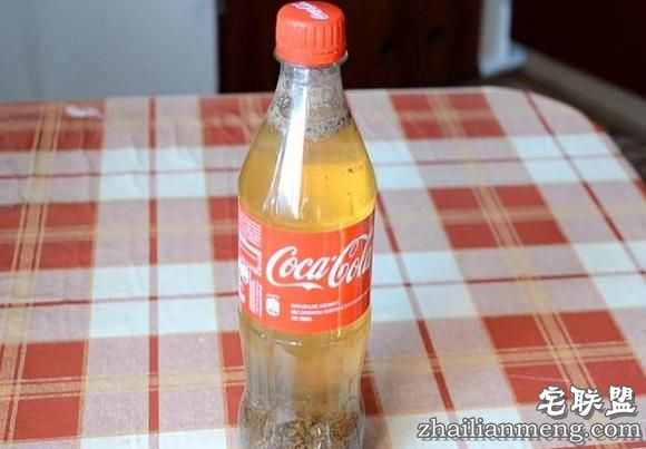 男子实验“将牛奶倒进可乐里”,下一秒的变化让我再也不敢喝可乐