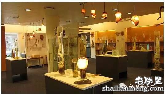 全世界第一个丁丁博物馆,全都是实打实的真货…