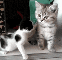 糗GIF榜:当你遇到前男友时,要不要这么夸张 ~