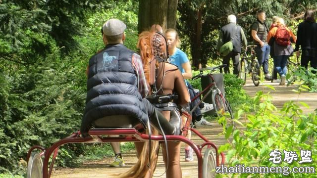 德国女子竟扮成马拉车,男子端坐驾驭她!