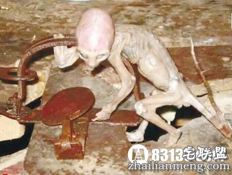 揭开关于墨西哥外星人宝宝之谜! 揭开关于墨西哥外星人宝宝之谜!
