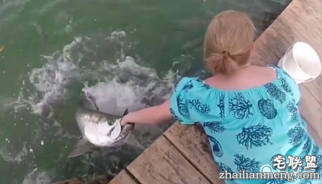 女子在河边喂鱼 下一秒整只手就进了鱼嘴里！