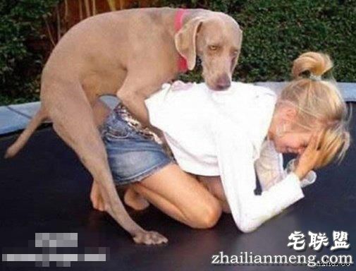 印度5岁女童疑遭性侵致死 警方给的真相:是狗干的 印度5岁女童疑遭性侵致死 警方给的真相:是狗干的