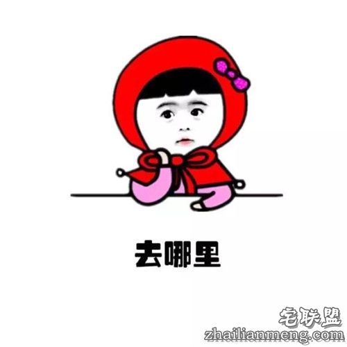 搞笑精选：520 狂虐单身狗 你准备好脱单了吗?