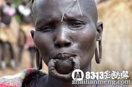 揭秘!懒族衣来伸手,饭来张口!我承认我见识少! 揭秘!懒族衣来伸手,饭来张口!我承认我见识少!