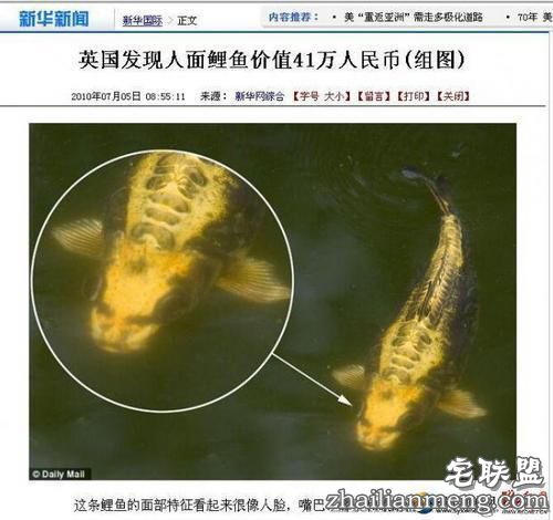 湖南发现人面鲤鱼 与人的五官十分相似"嘴巴""鼻子"清晰可见 湖南发现人面鲤鱼 与人的五官十分相似"嘴巴""鼻子"清晰可见