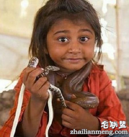 探秘!蛇人部落 毒蛇当嫁妆! 探秘!蛇人部落 毒蛇当嫁妆!