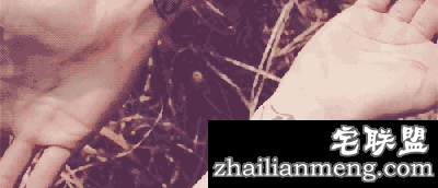 搞笑精选：520 狂虐单身狗 你准备好脱单了吗?