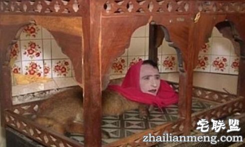 揭巴基斯坦人头狐狸身真相曝光 揭巴基斯坦人头狐狸身真相曝光